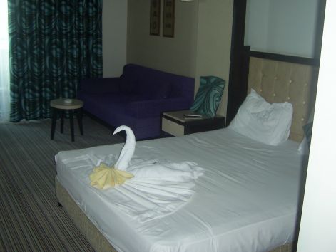 sa400148.jpg